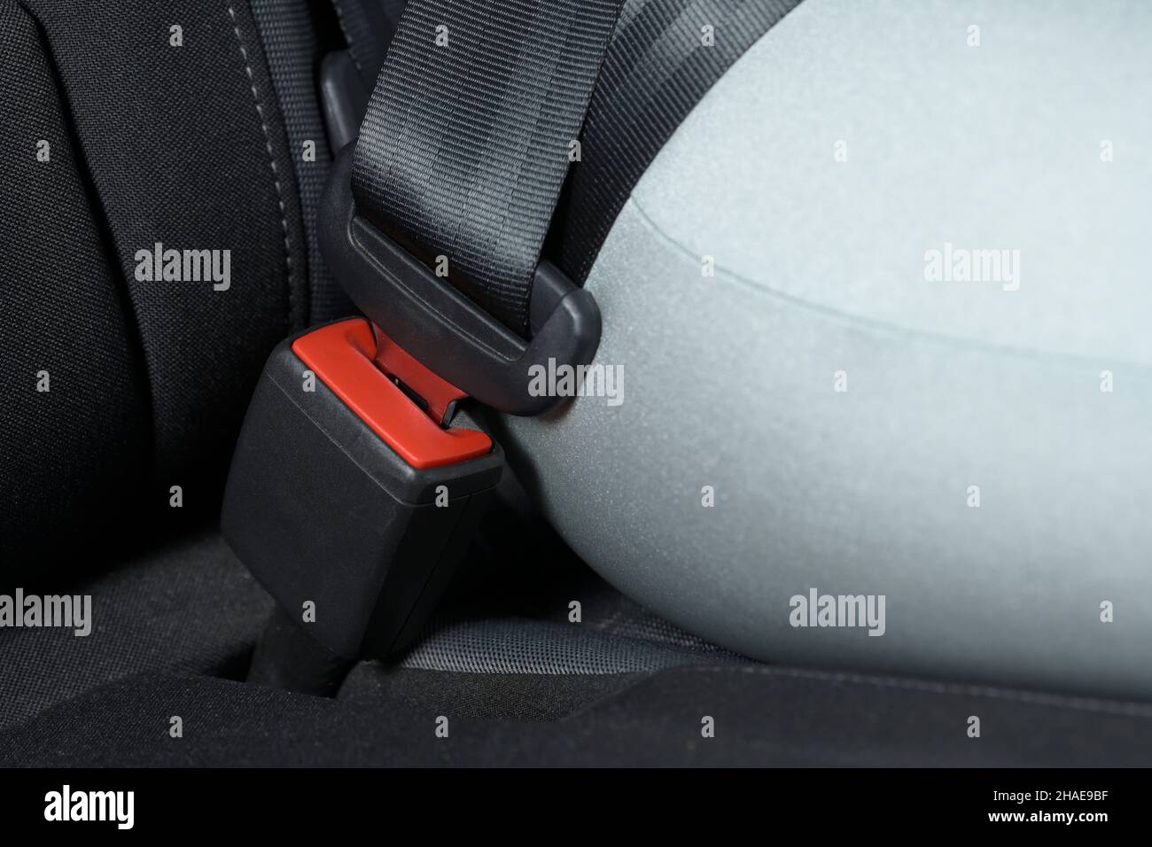 Seat belt in a car Stock Photo Alamy