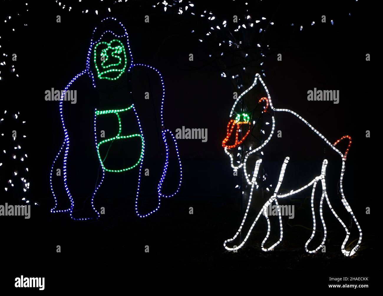 Zoolights Calgary Zoo Alberta Stock Photo Alamy