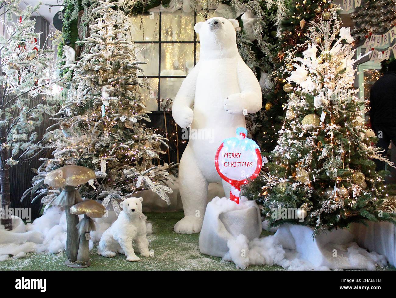 Polar bear in winter with fir tree and christmas decorations in store Stock Photo