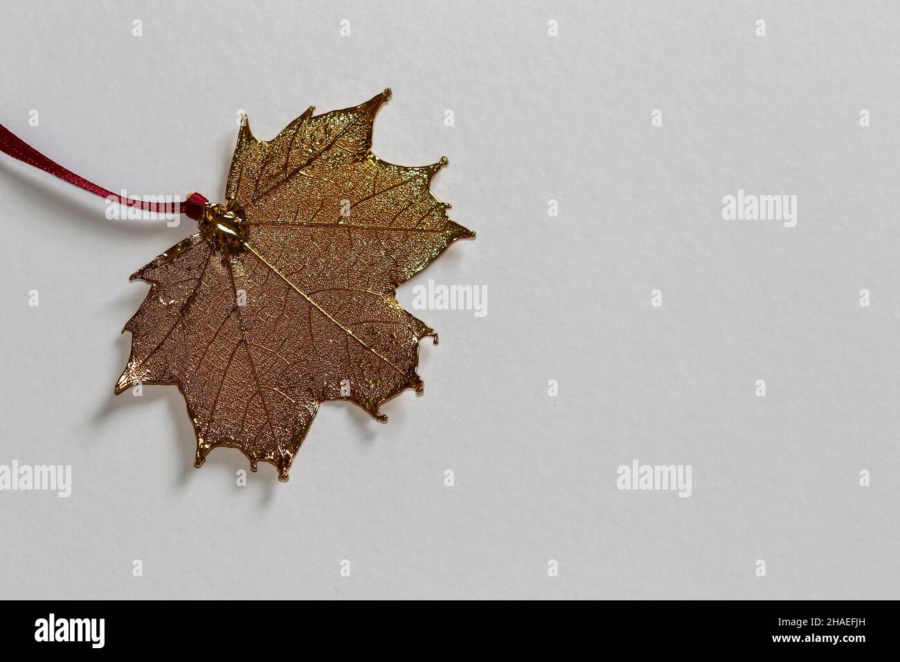 Gold plated Canadian maple leaf. Concept of Canada releasing part of