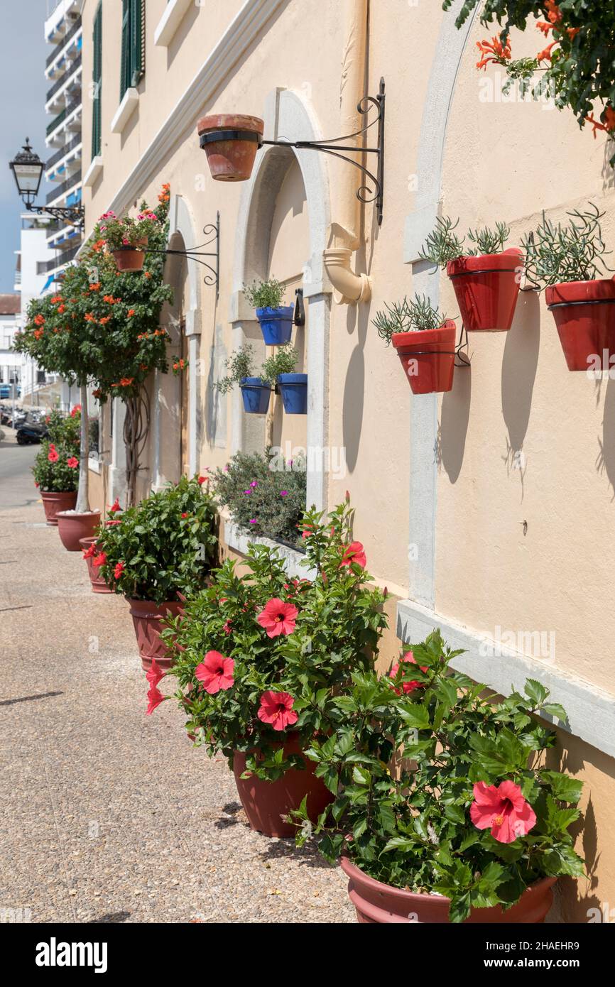 Flowers in pots and hanging baskets, Europa Point, Gibraltar Stock Photo