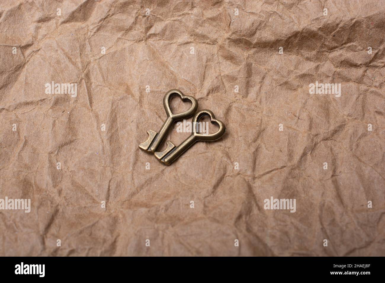 Pair of keys with heart shape icon as love icon and romance concept ...