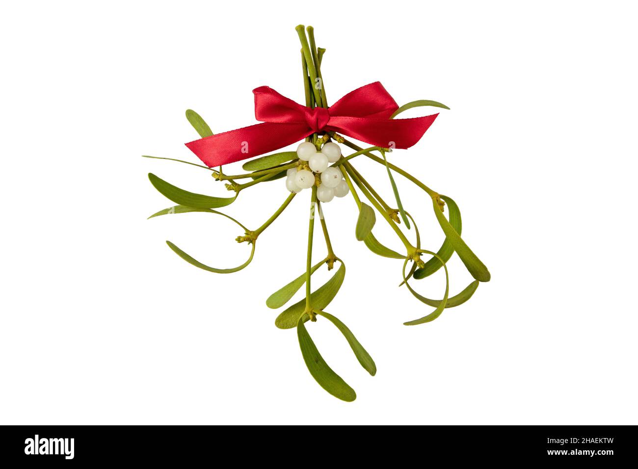 Mistletoe bunch with white berries and green leaves and red satin bow . Christmas decoration isolated on white. Stock Photo