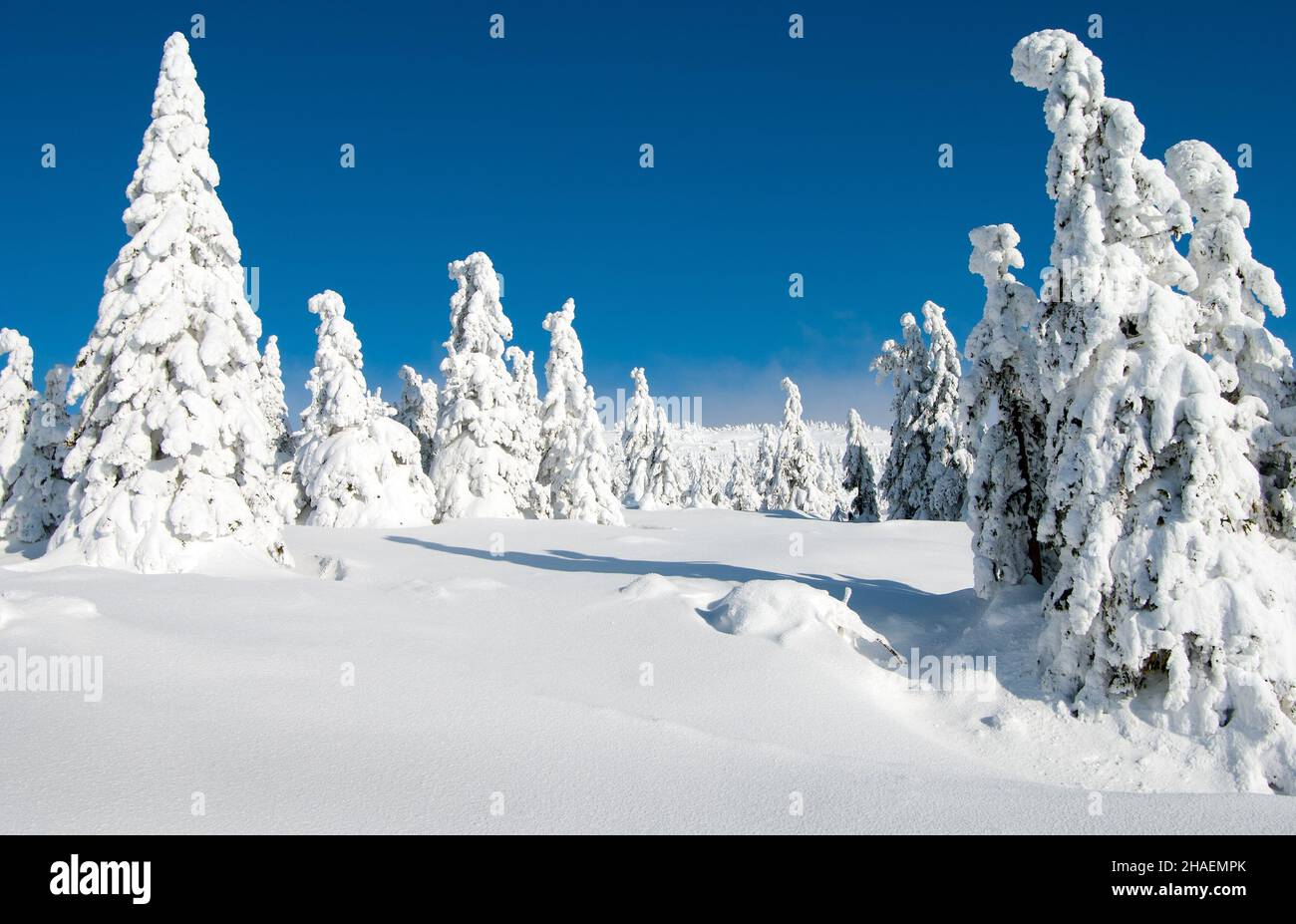 wintry landscape scenery from Krkonose - Giant mountains Stock Photo