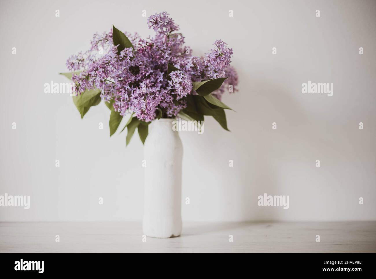 Still life with vase with chamomile flowers. Daisy flowers bouquet in clay  vase on white wooden shabby table. Flower background. Floral pattern Stock  Photo - Alamy