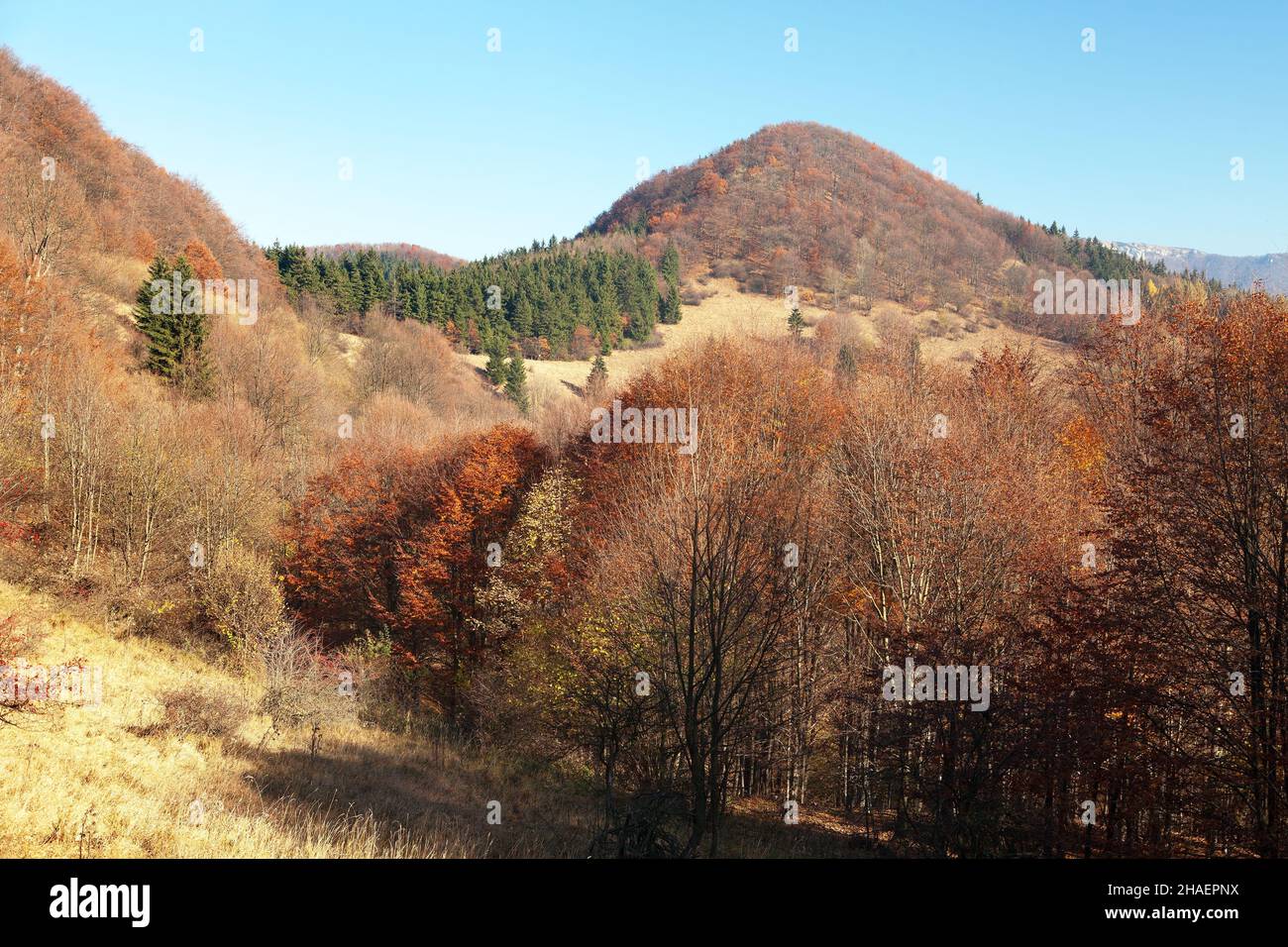 Autumnal view from Strazovske vrchy, Carpathian mountains, Slovakia Stock Photo
