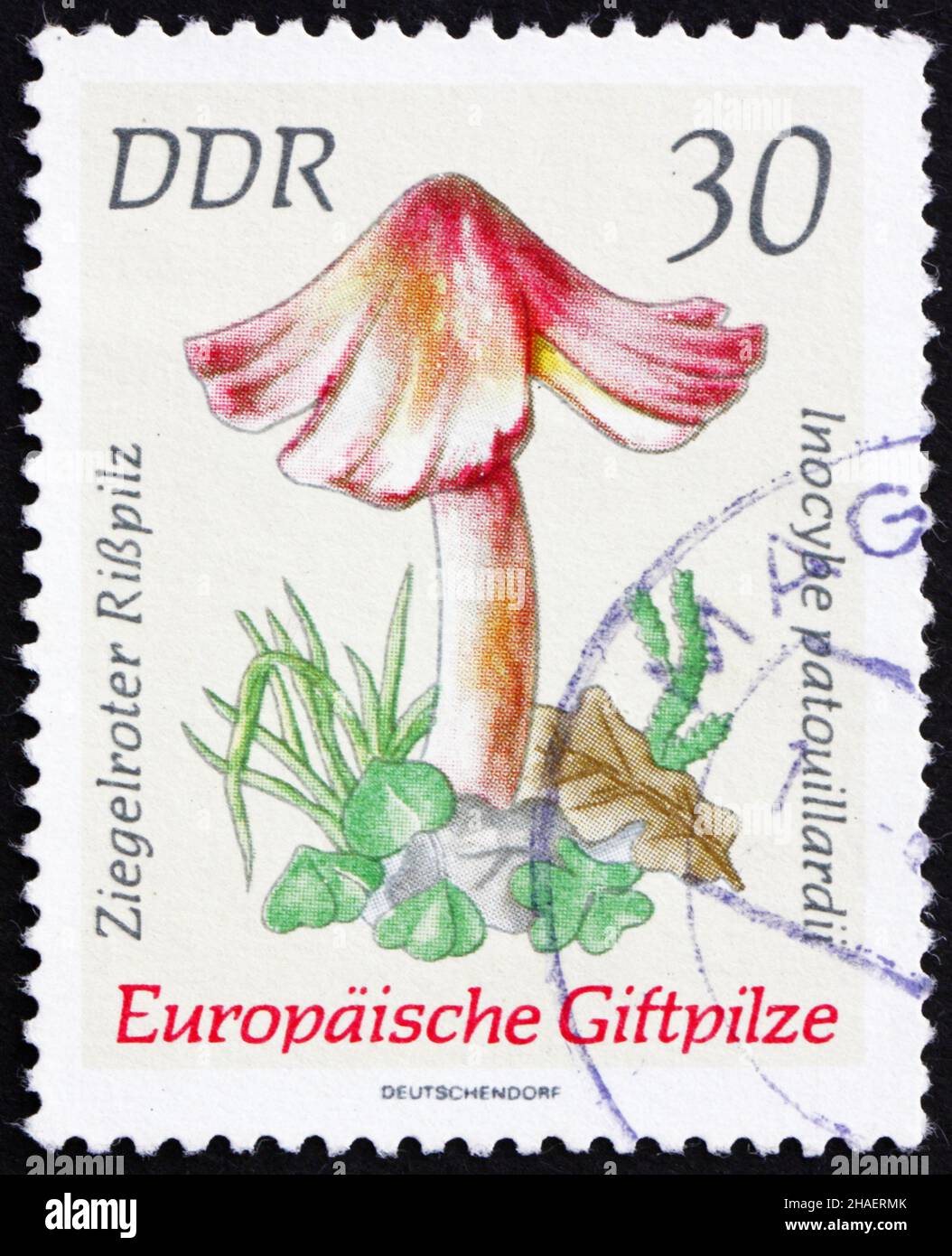 GDR - CIRCA 1974: a stamp printed in GDR shows Inocybe Patouillardii, Poisonous European Mushrooms, circa 1974 Stock Photo