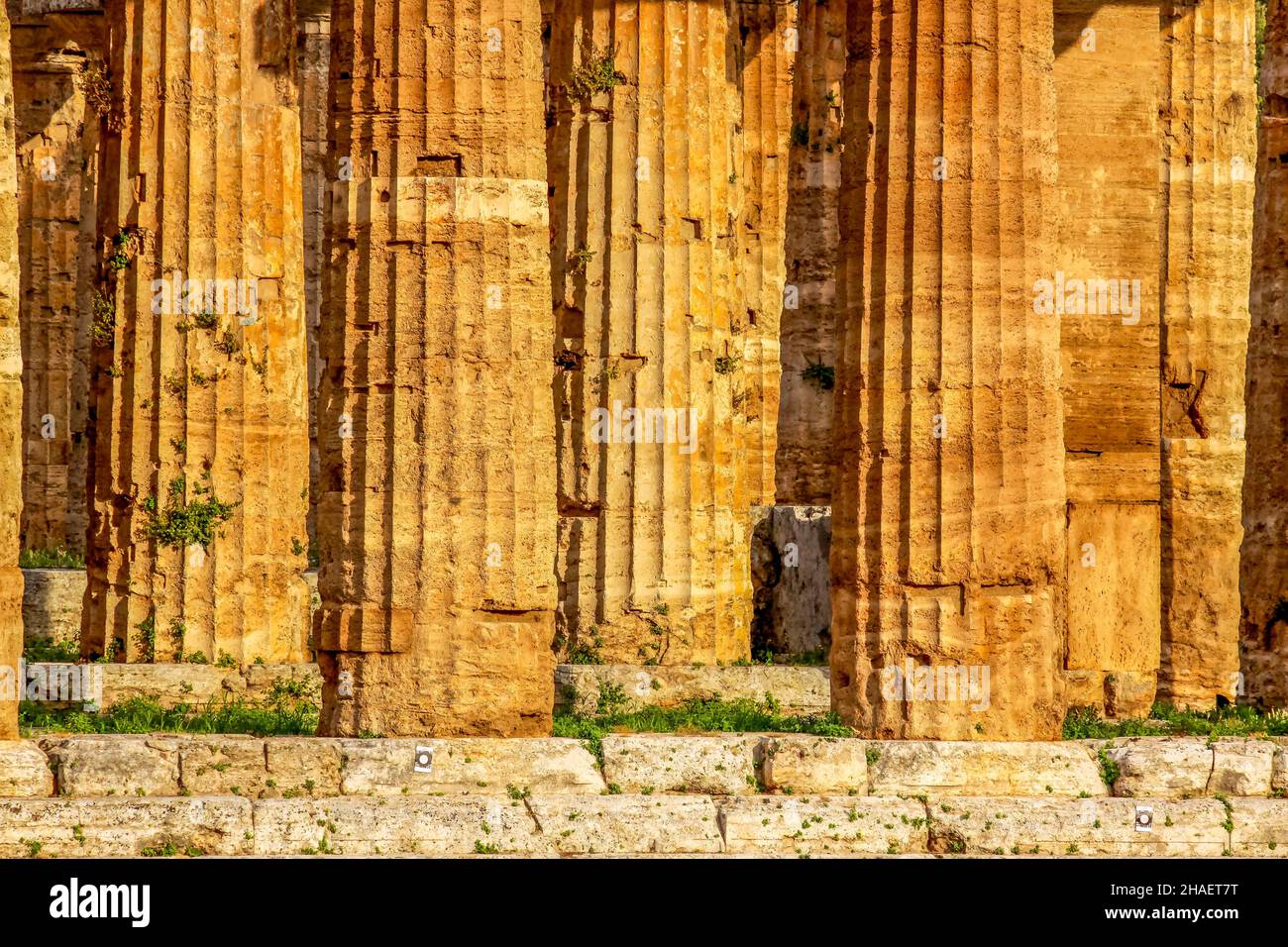 Beautiful view of famous Paestum Temples Archaeological UNESCO World Heritage Sitein in scenic golden evening light at sunset, Province of Salerno, Ca Stock Photo