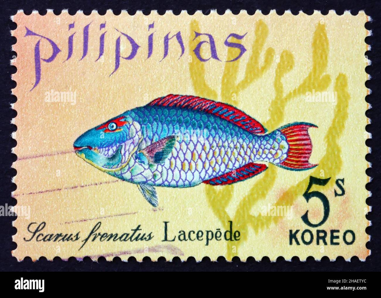 PHILIPPINES - CIRCA 1972: a stamp printed in Philippines shows Parrotfish, Scarus Frenatus, Fish, circa 1972 Stock Photo