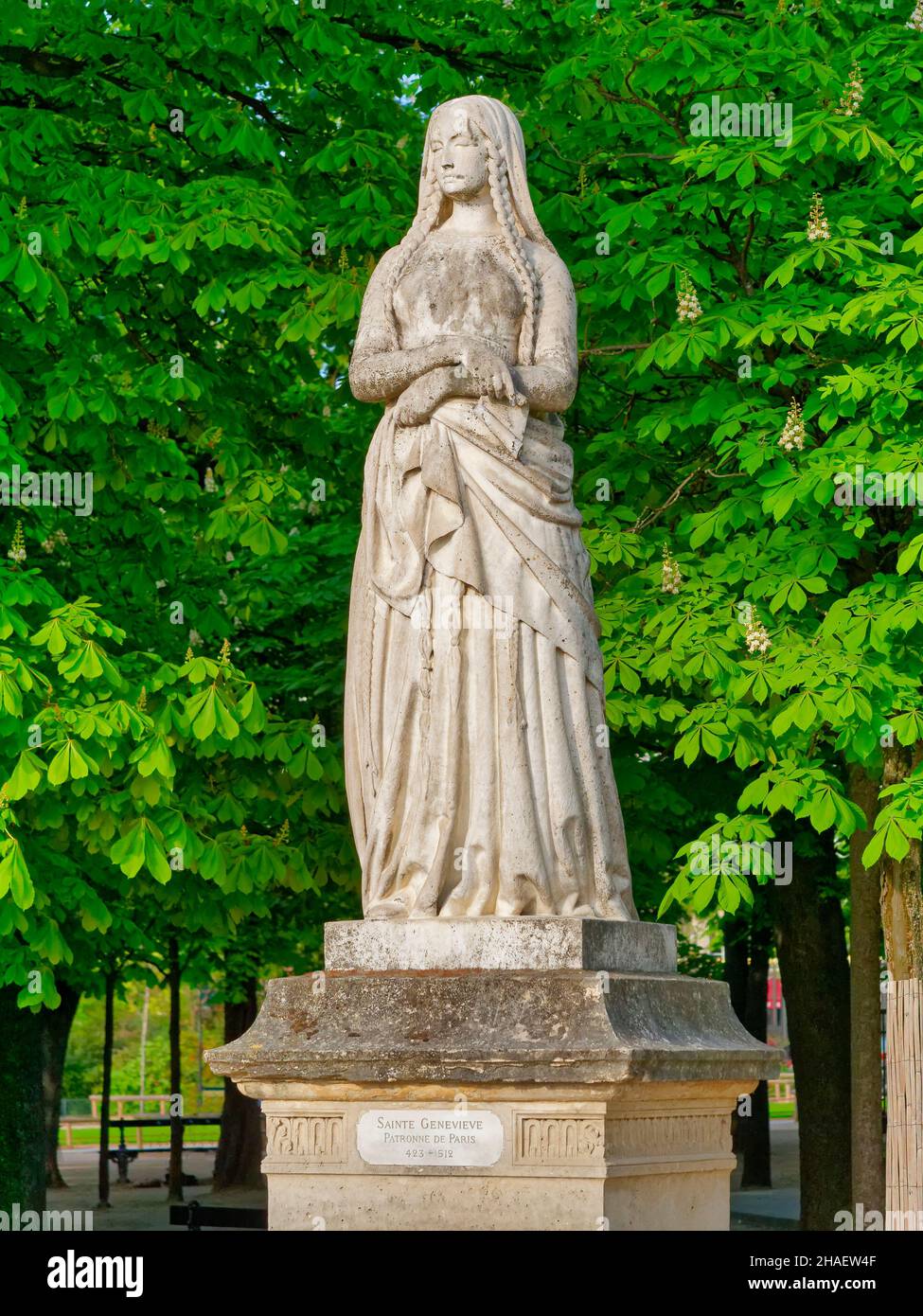 Sainte Geneviève statue (Saint Genevieve) one of the twenty marble statues of French queens and illustrious women in the public Jardin du Luxembourg ( Stock Photo