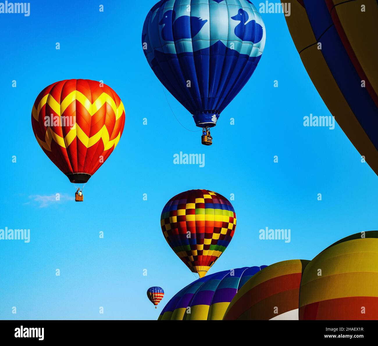 Hot air balloons flying with a blue sky and sun hi-res stock ...