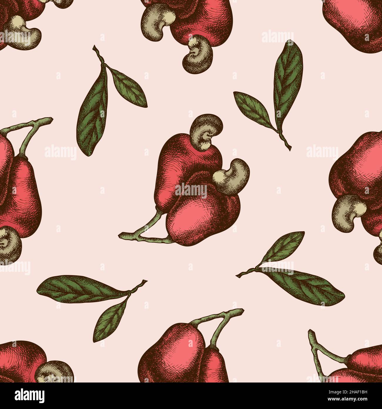Seamless pattern with hand drawn colored cashew, letters Stock Vector