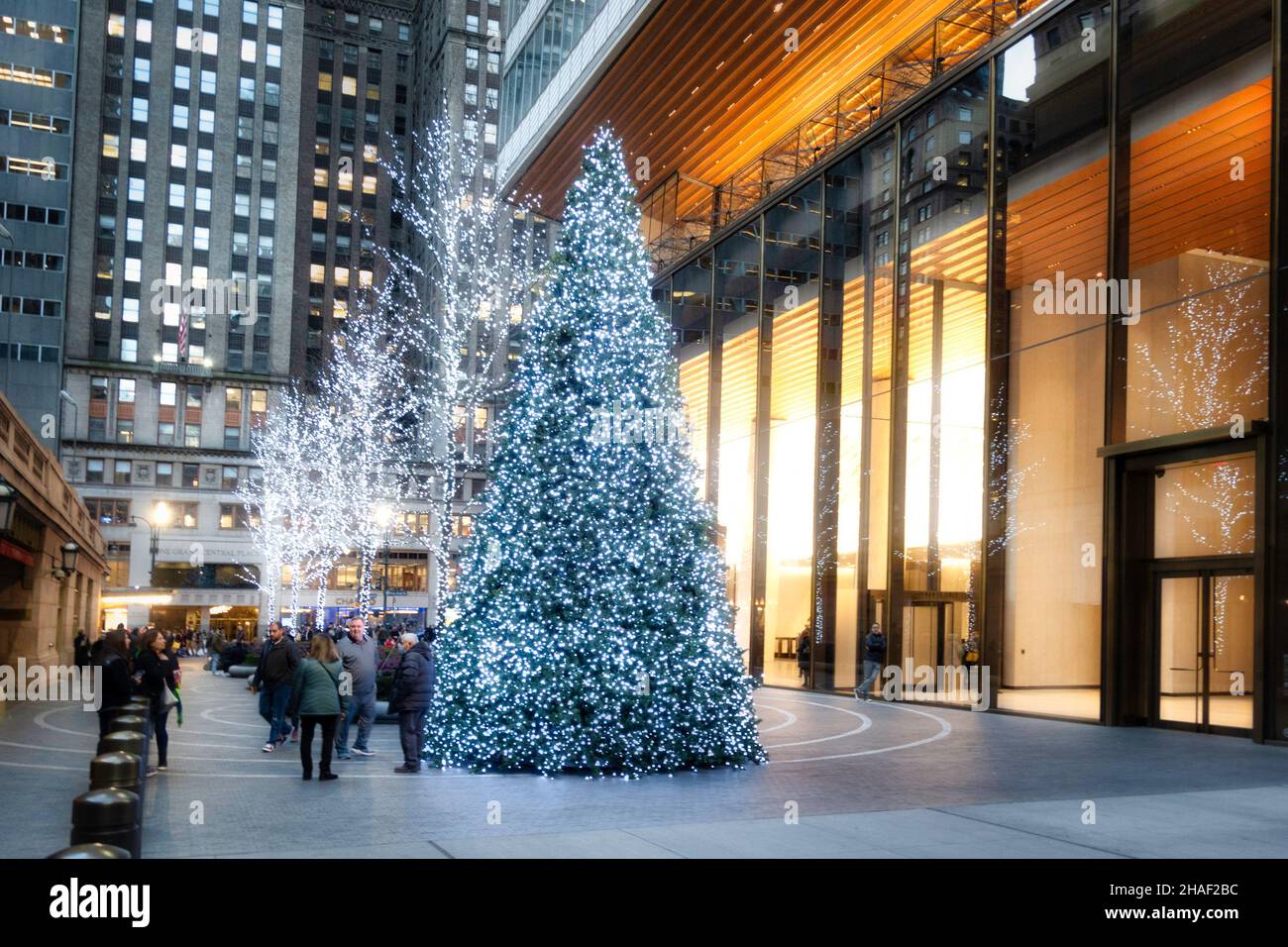 Christmas Tree on display in the new pedestrian plaza which separates