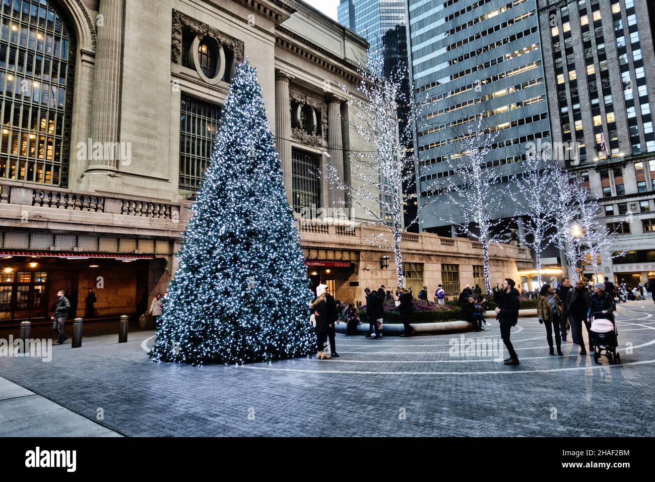 Christmas Tree on display in the new pedestrian plaza which separates