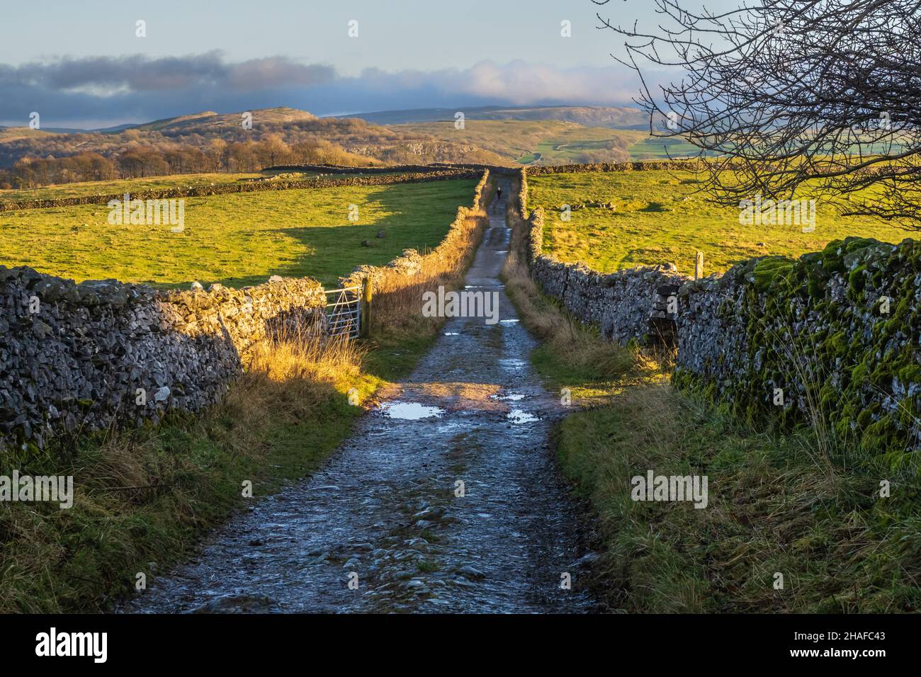 Thwaite Lane between Clapham and Austwick in the Yorkshire Dales Stock Photo