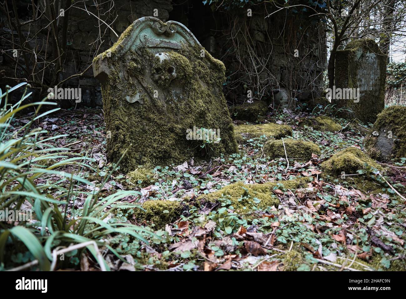 a grave with a skull and crossbones Stock Photo Alamy