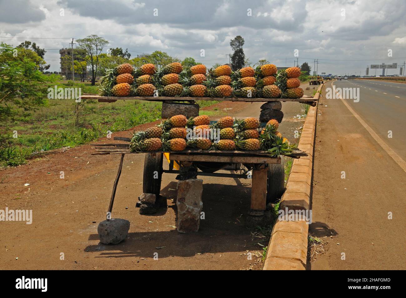 Shelf pineapples hires stock photography and images Alamy