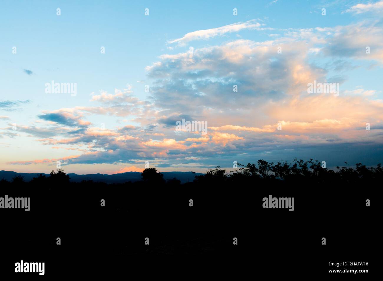 Beautiful scenery of trees under a cloudy sky during sunset Stock Photo ...