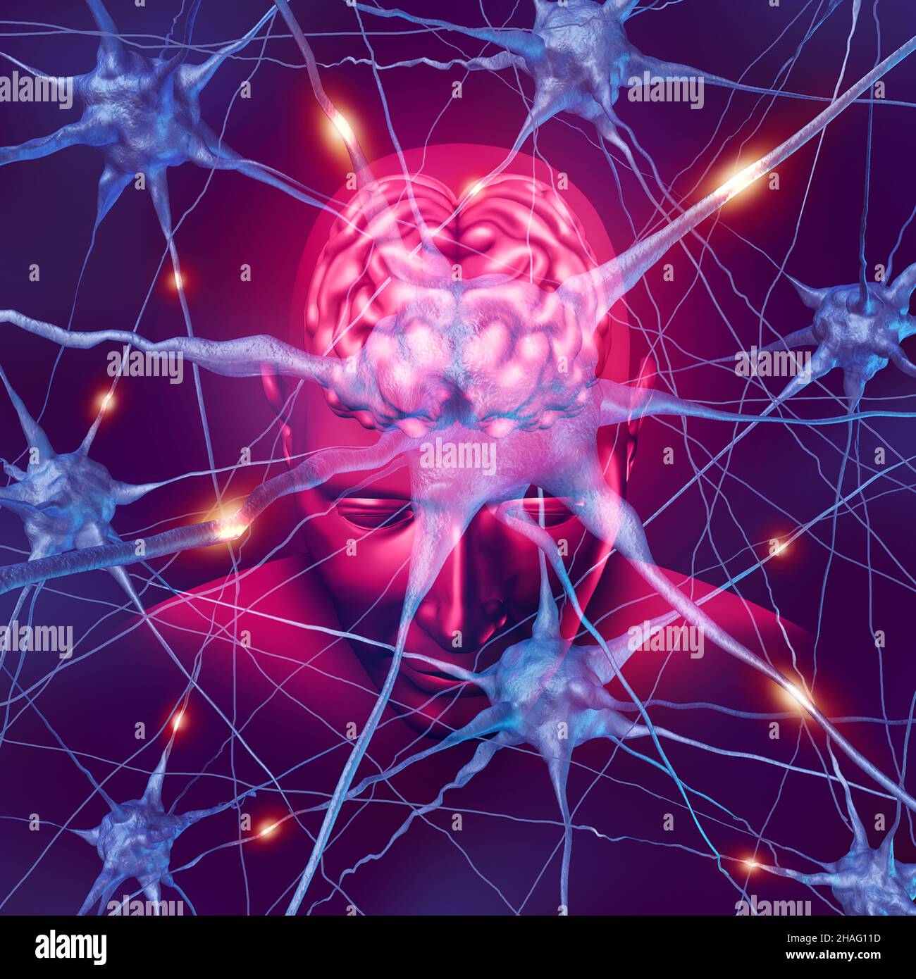 Human brain neurology and active neurons connections as a nervous system anatomy and neurological activity. Stock Photo