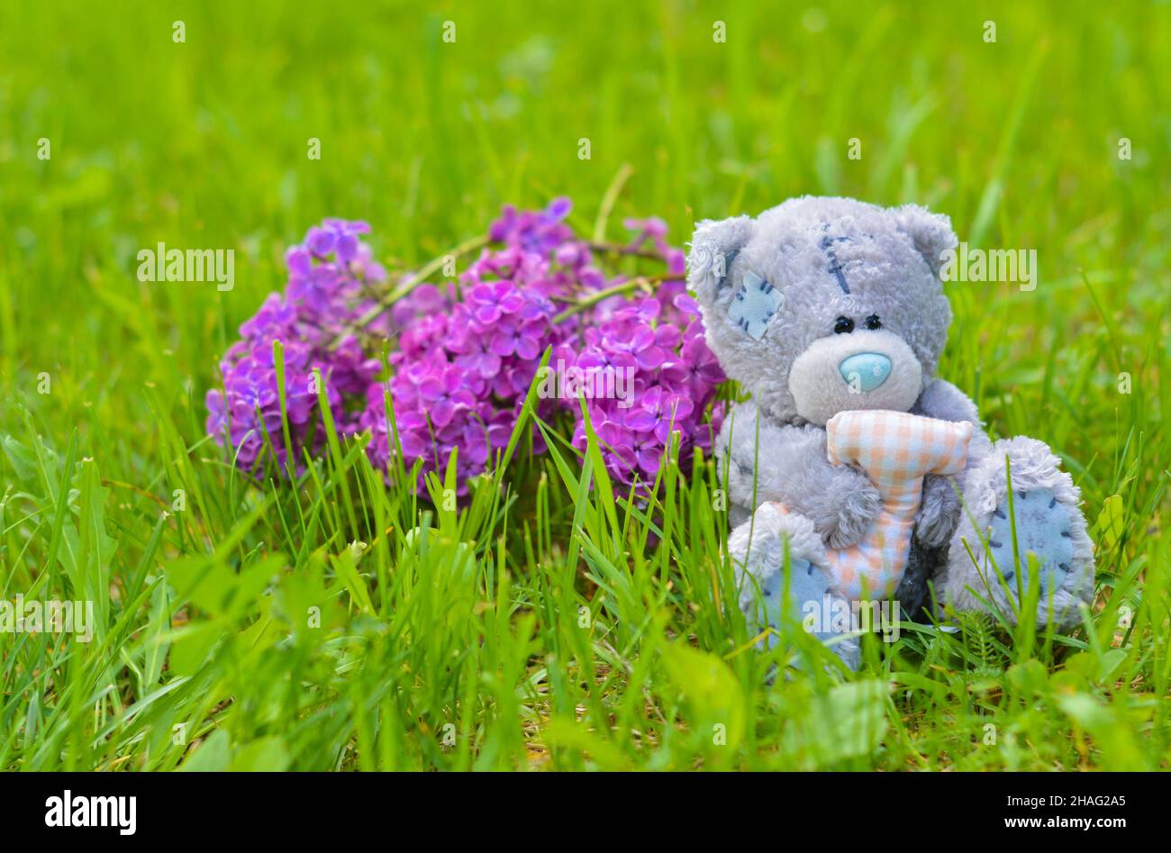 Teddy bear toy sitting on a green grass Stock Photo - Alamy
