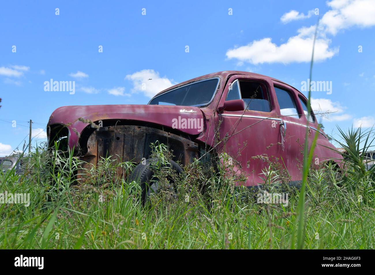 Abandoned and deteriorated old vehicles in Uruguay Stock Photo