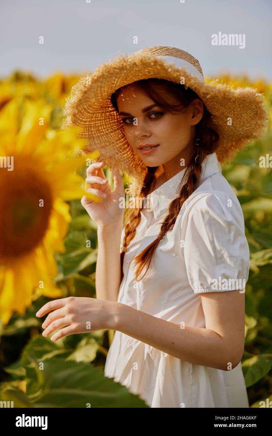 woman portrait in a straw hat in a white dress a field of sunflowers ...