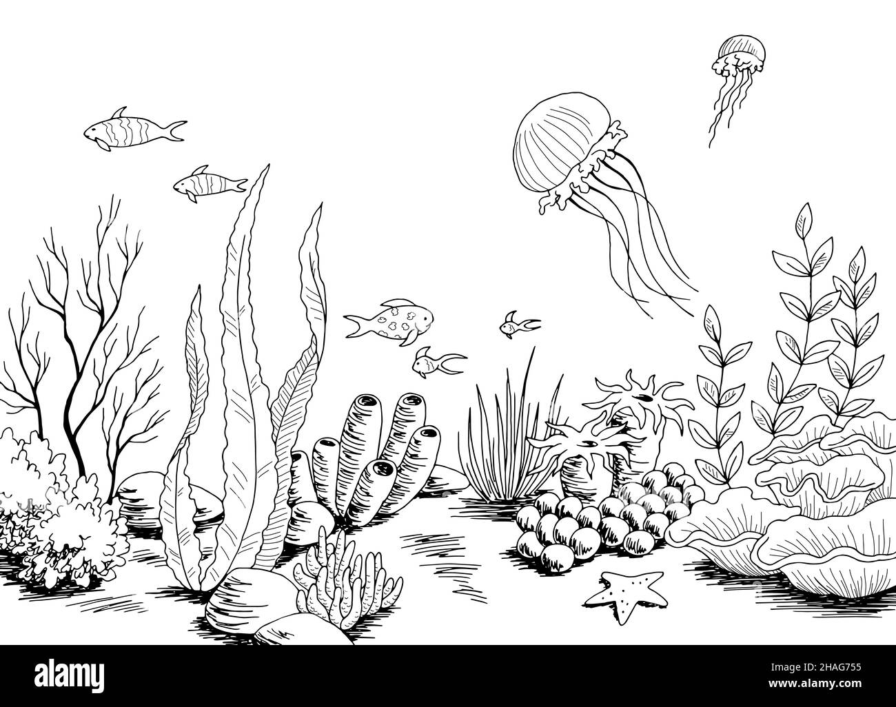 Underwater graphic sea black white sketch illustration vector Stock Vector