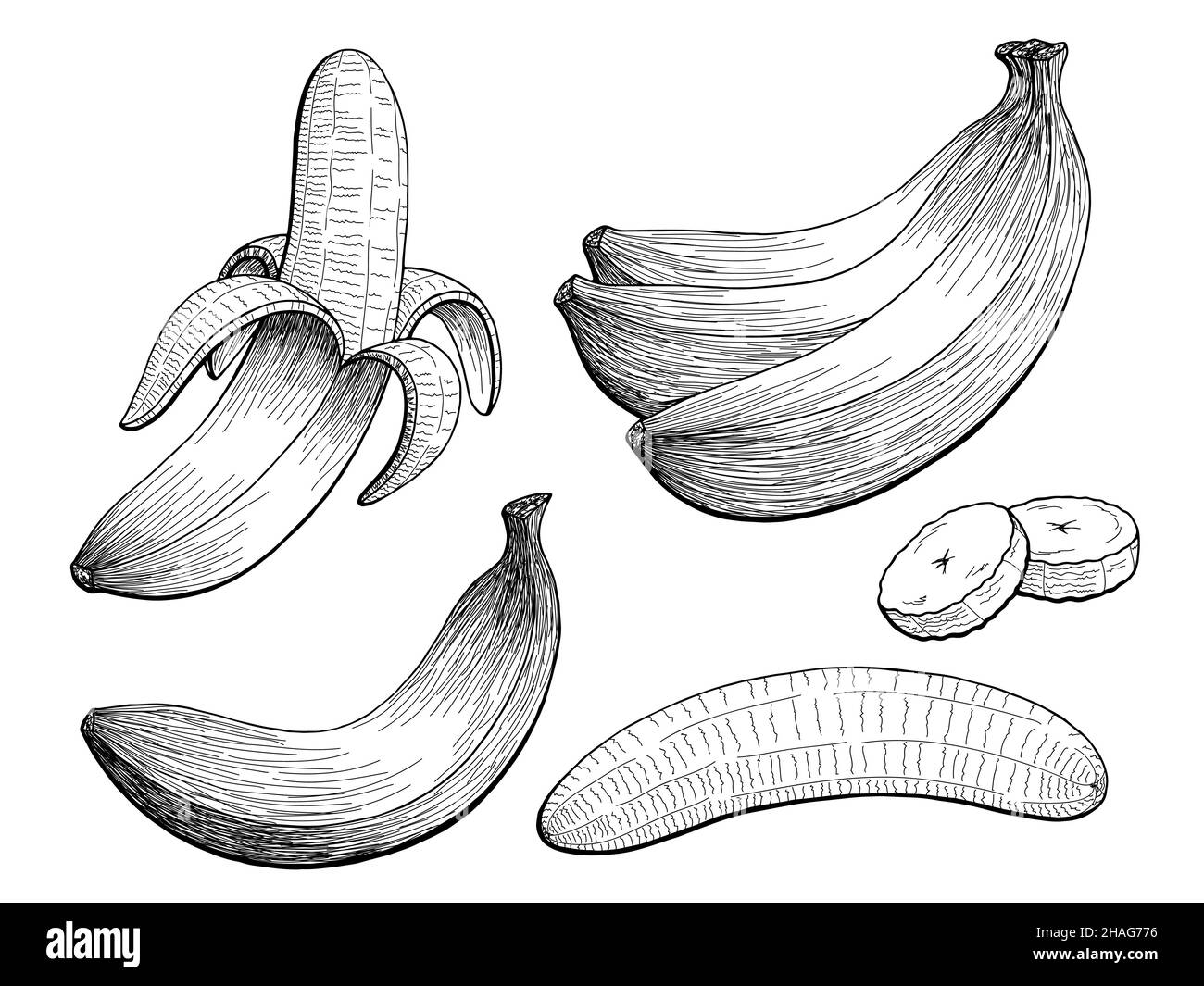 Share more than 86 sketch of banana fruit best seven.edu.vn