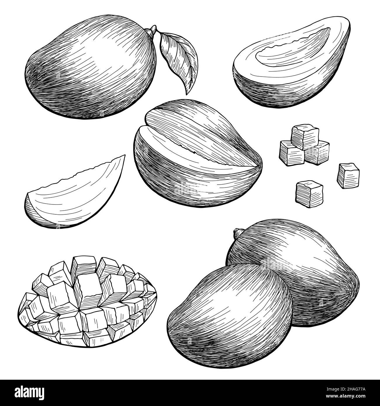 Mango outline hires stock photography and images Alamy