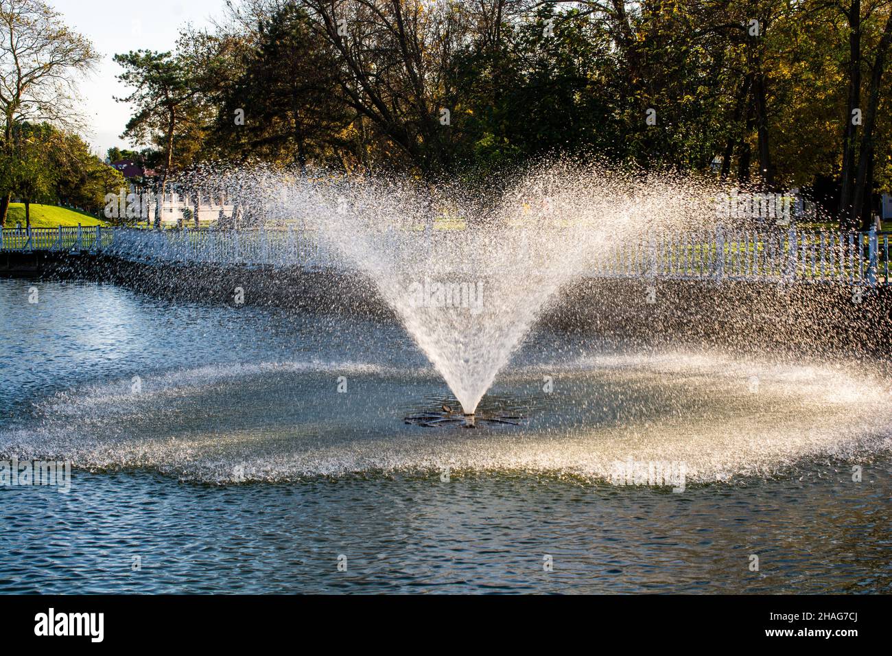 The fountain spouting water from a