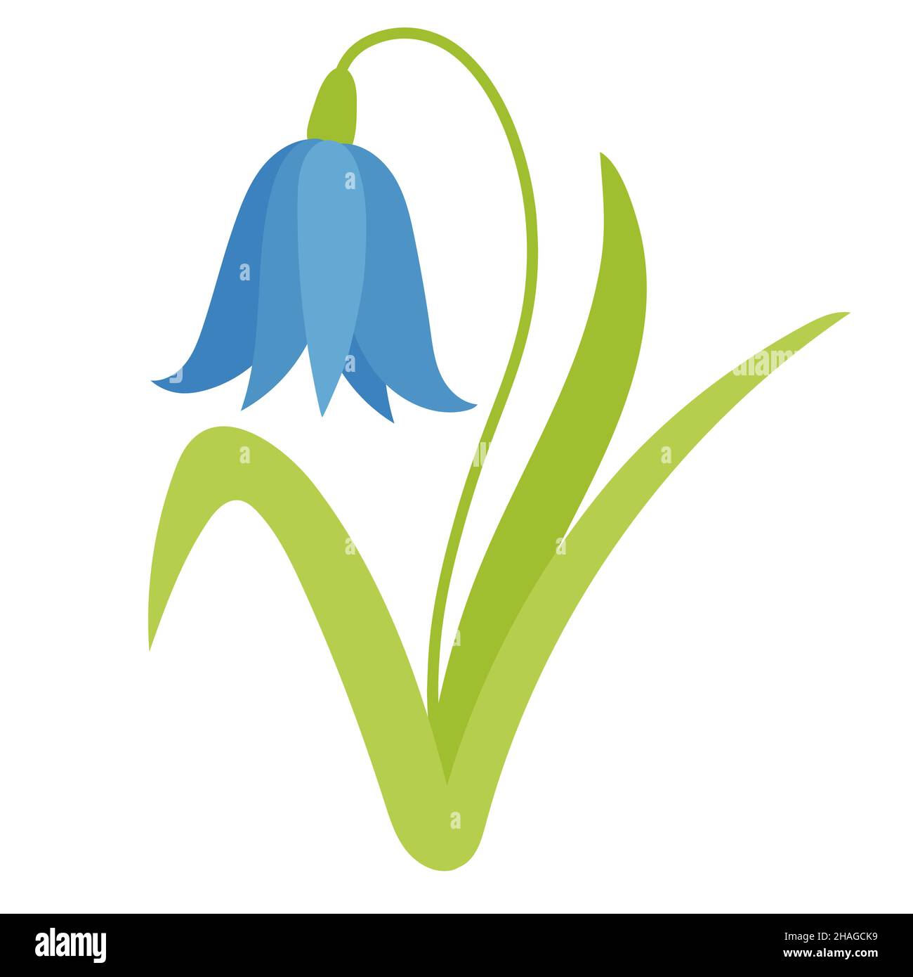 Blue bellflower isolated vector illustration Stock Vector