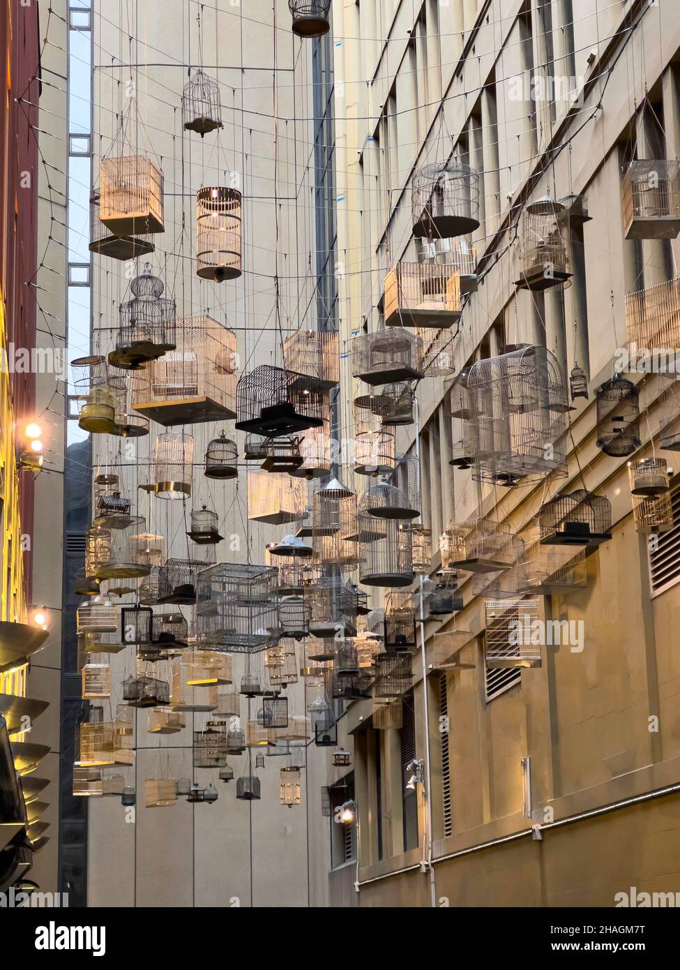 Forgotten Songs is an artistic installation of empty birdcages hanging in the sky on the angle of Place lane way, Sydney NSW Australia Stock Photo