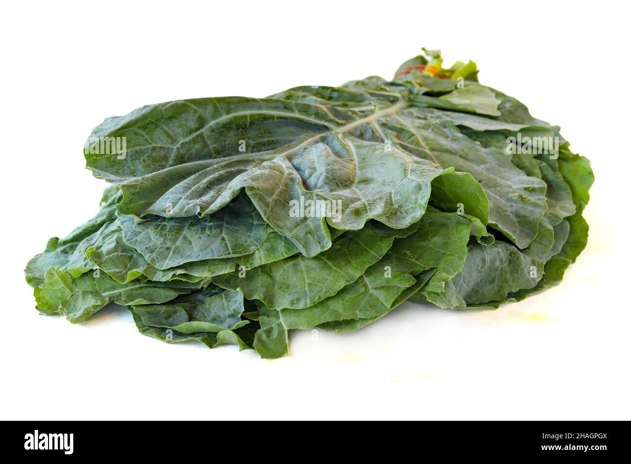 Black kale isolated on white. Close-up Black kale. organic food Stock Photo