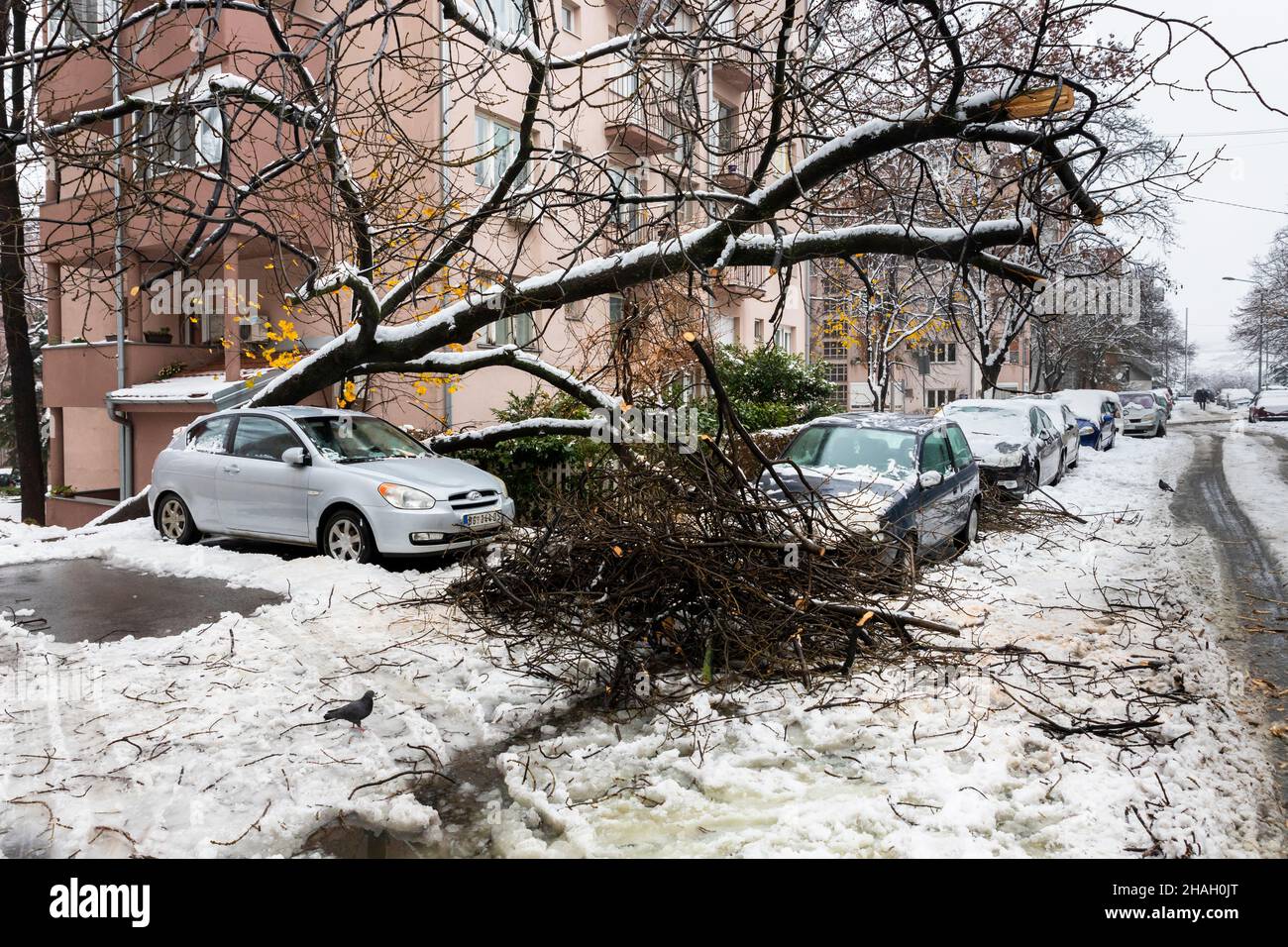Когда закончится ветер в ростове