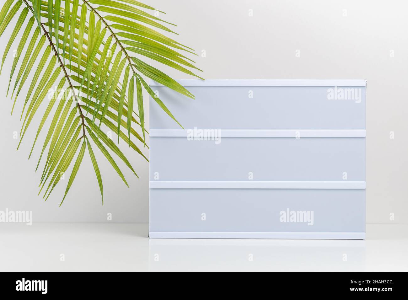 Palm leaves with empty lightbox on white table. Mockup concept. Stock Photo