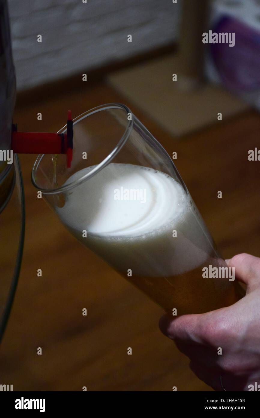 Foamy beer is poured from a beer barrel through a tap into a glass