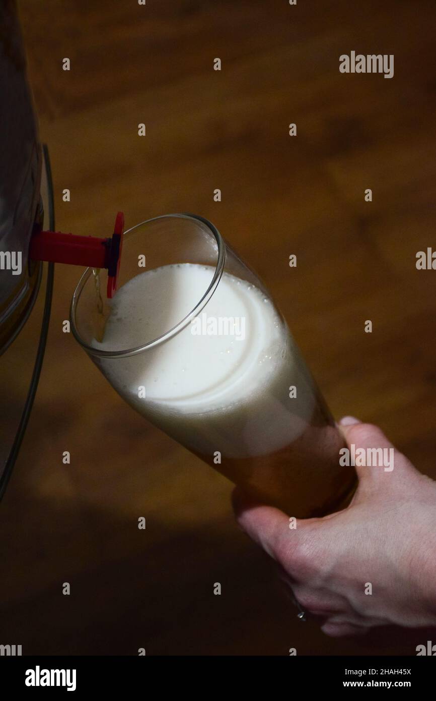 Foamy beer is poured from a beer barrel through a tap into a glass