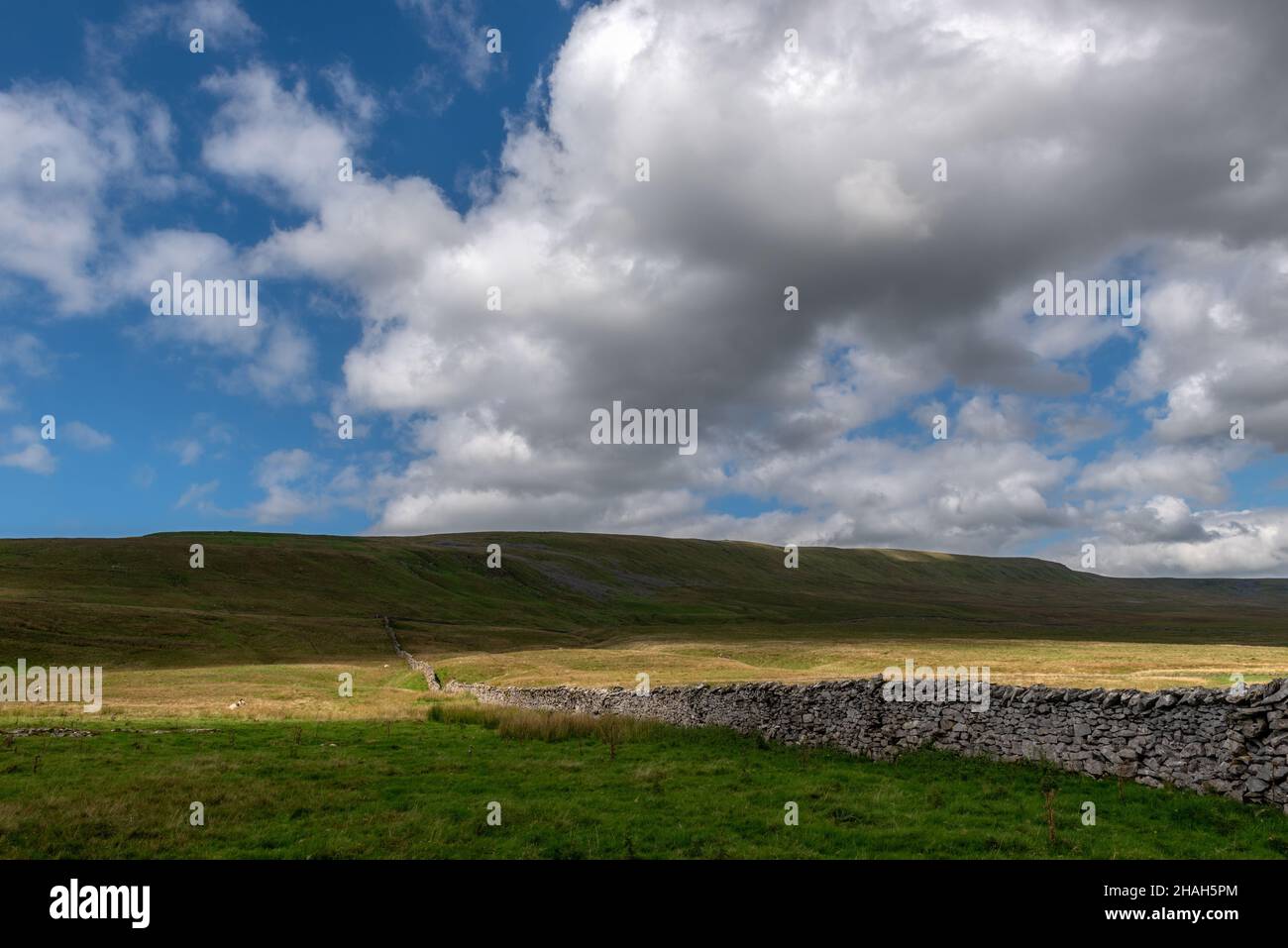 Gragareth seen from The Turbary Road in Kingsdale, The Yorkshire Dales Stock Photo