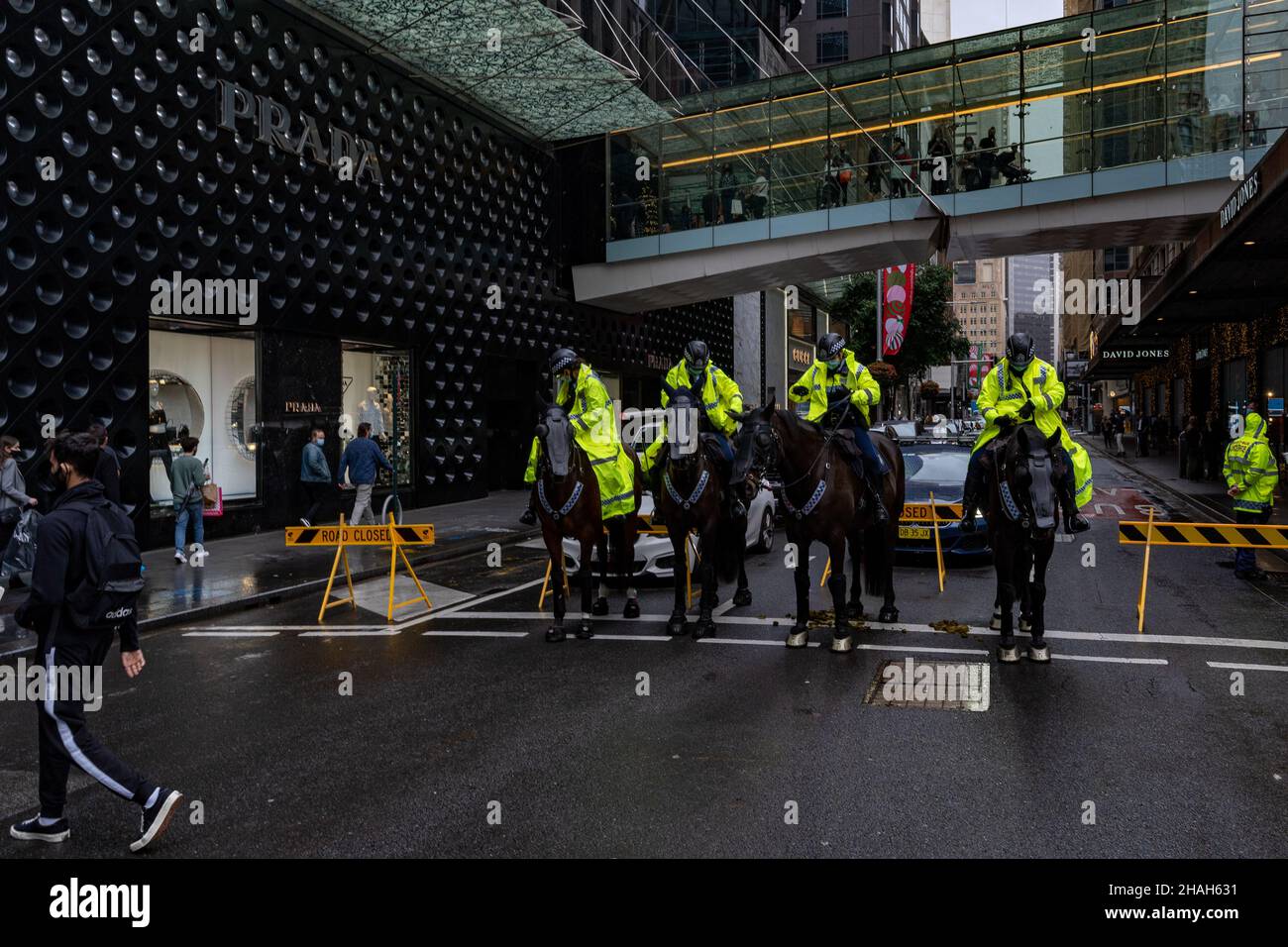 Horse Mounted police standing guard during protest opposing government vaccine passport and no jab no job policy in Australia. Stock Photo