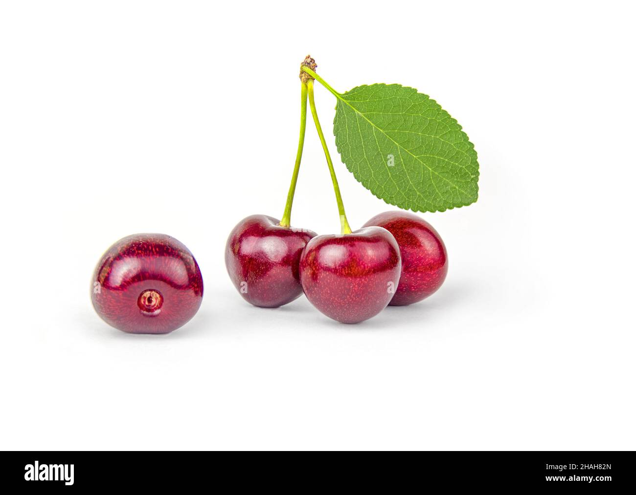 Juicy cherry leaf hi-res stock photography and images - Alamy