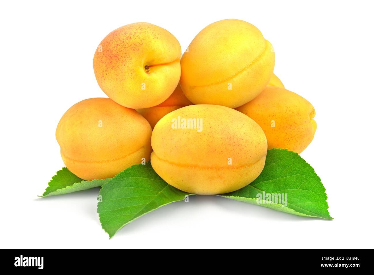 Apricot. Group of fruit isolated on white Stock Photo Alamy