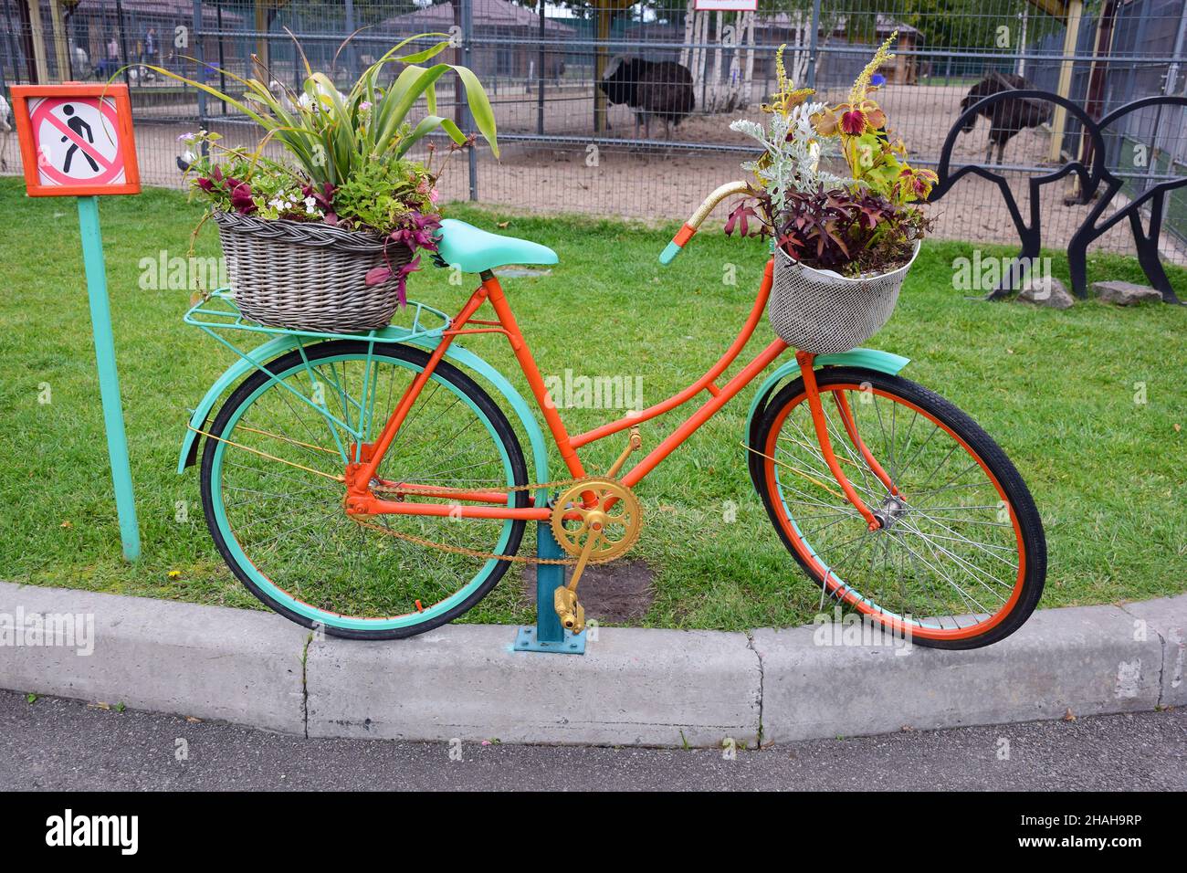 Decorative multi-colored bicycle on which flower pots with plants are installed standing by the road Stock Photo