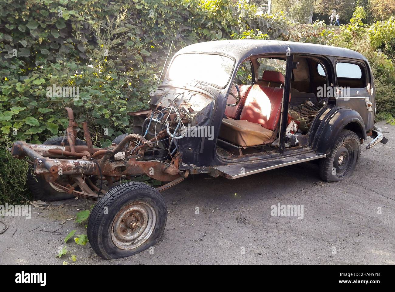 Old vintage destroyed car without engine, hood and doors stands near bushes Stock Photo