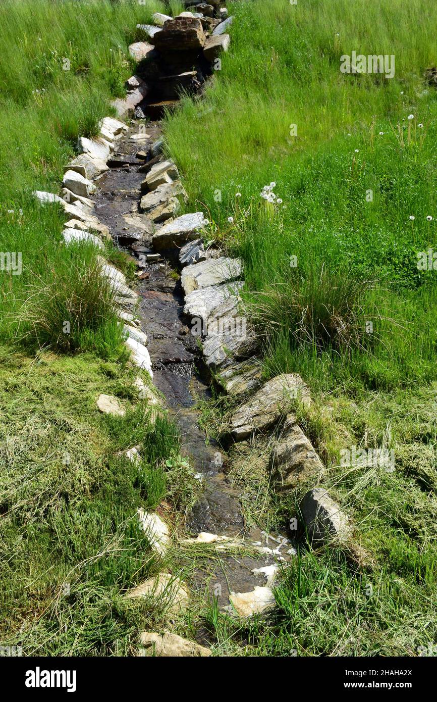 A stream flows in the green grass, leaving into perspective, surrounded by stones around the edges Stock Photo