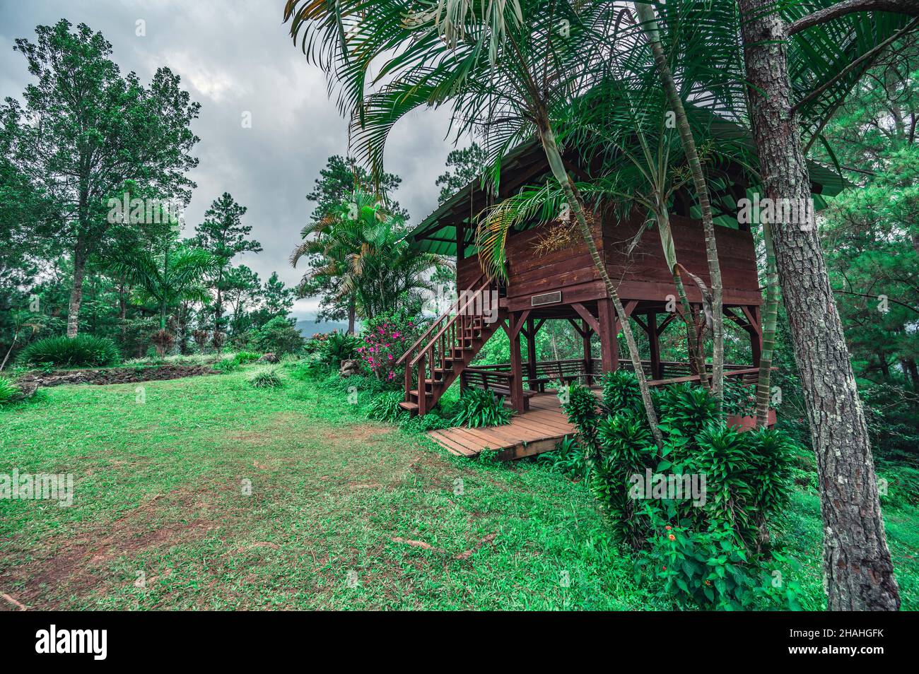 Weekend away in wooden gazebo between perfect natural wild landscape. Recreation zone in jungle, around tropical wood in mountains hill. Pines and pal Stock Photo