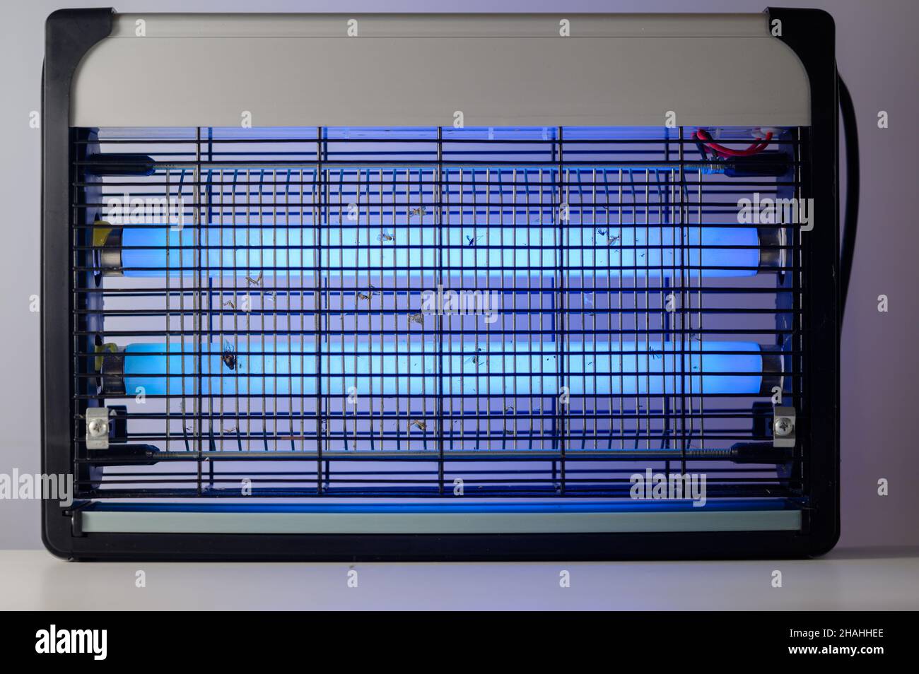 Mosquito lamp with blue light during work. Anti mosquitos ligth whet it