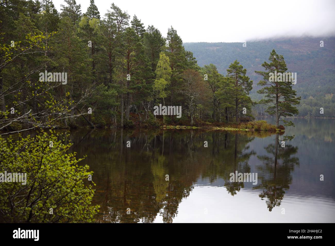 Loch an Eilein, Rothiemurchus, Aviemore, Scotland Stock Photo