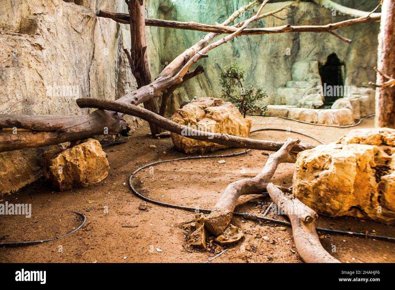 Limassol, Cyprus - December 12, 2021 Limassol Zoo, one of the biggest in  Europe and hosts beautiful and interesting animals, natural-looking habitats  Stock Photo - Alamy