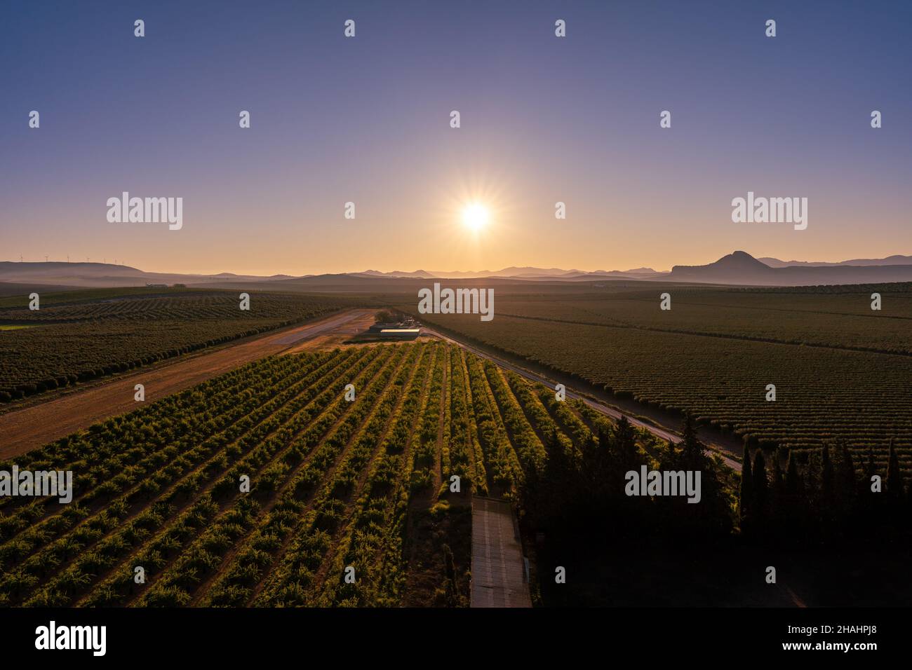 High angle shot agriculture hi-res stock photography and images - Alamy