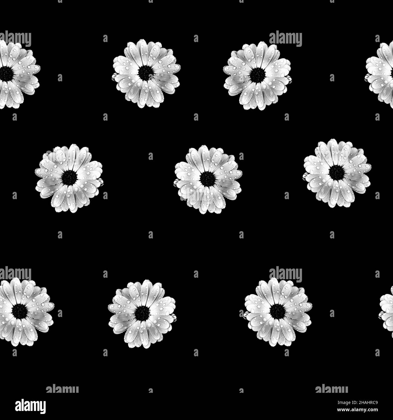 Abstract black background with flowers Stock Photo Alamy